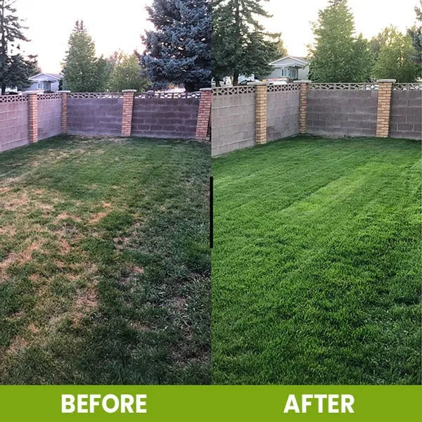 MyLifey™ Mineral-Rich Soil Activator for Year Round Growth