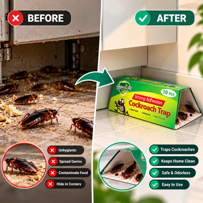 Pestora™ Non-Toxic Cockroach Trap for Kitchen & Home